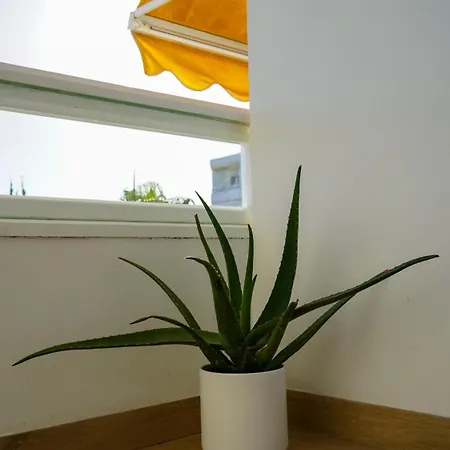 Designer - Dunes Appartement *